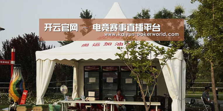 案例标题五