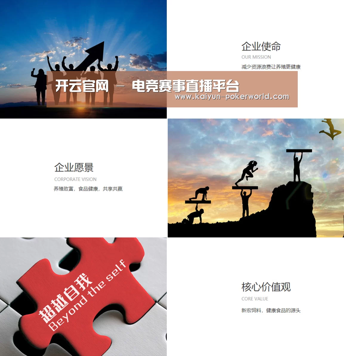 企业文化(图1)