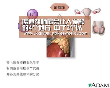 开云足球