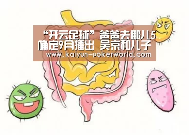 “开云足球”爸爸去哪儿5确定9月播出 吴京和儿子 “吴所谓”会加盟吗(图2) 开云赛事