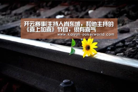 开云赛事|主持人肖东坡,和他主持的《喜上加喜》节目,很有喜气(图1) 开云足球